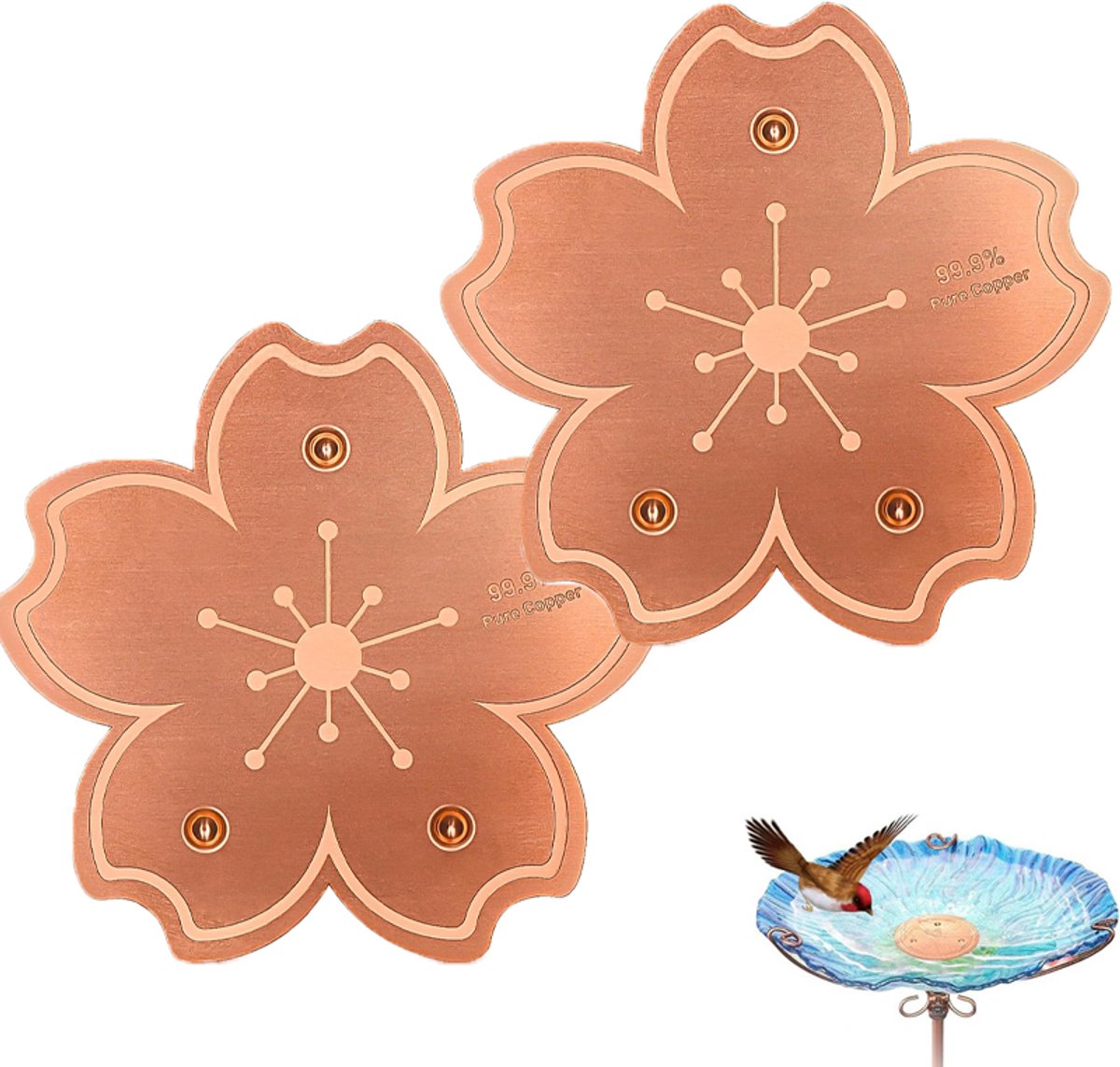 2 Stuks Koperen Schijf Voor Vogelbad - 10cm - Vogelbad Reiniger - Vogelveiligheid - Voorkomt Algen - Koperen Decoratie - Houd Het Water Schoon - Geschikt Voor Vogelbadjes En Fonteinen in De Buitenlucht - Bloemvorm