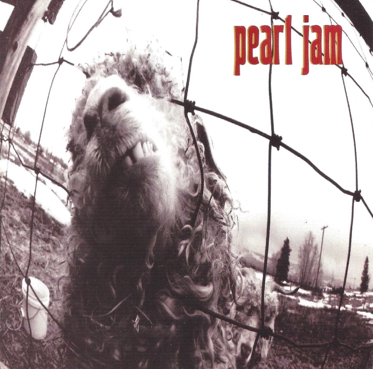 Pearl Jam Vs.